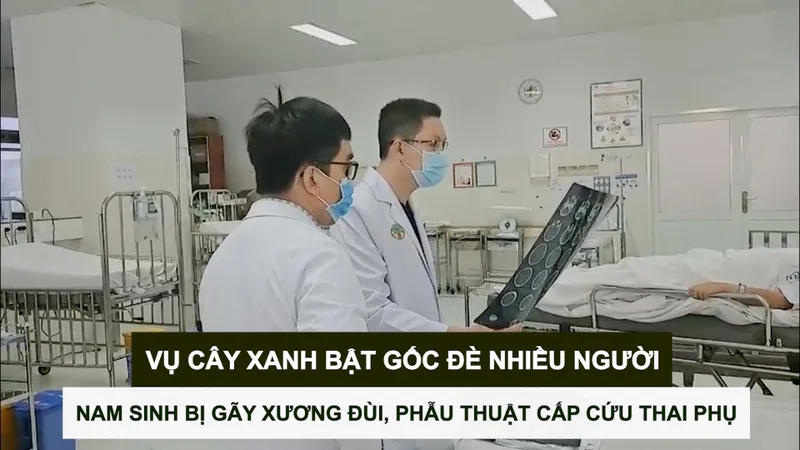 Vụ cây xanh bật gốc đè nhiều người: Nam sinh bị gãy xương đùi, phẫu thuật cấp cứu thai phụ