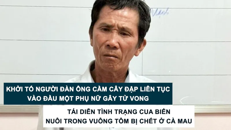 Tin nóng: Khởi tố người đàn ông cầm cây đập liên tục vào đầu một phụ nữ gây tử vong; Tái diễn tình trạng cua biển nuôi trong vuông tôm bị chết ở Cà Mau