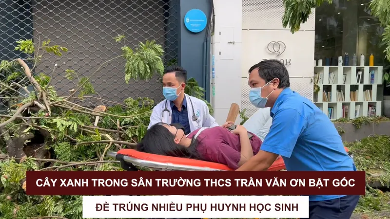 Cây xanh trong sân Trường THCS Trần Văn Ơn bật gốc, đè trúng nhiều phụ huynh học sinh