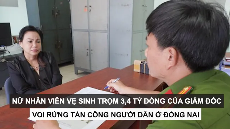 Tin nóng: Nữ nhân viên vệ sinh trộm 3,4 tỷ đồng của giám đốc; Voi rừng tấn công người dân ở Đồng Nai