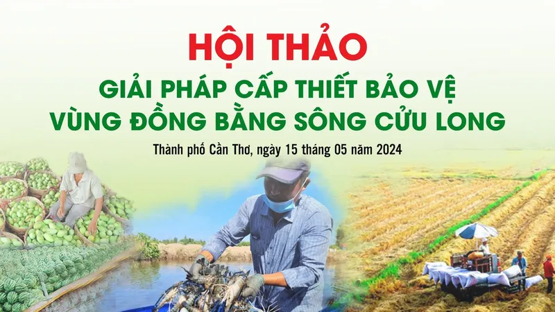 Giải pháp bảo vệ, phát triển bền vững vùng ĐBSCL 
