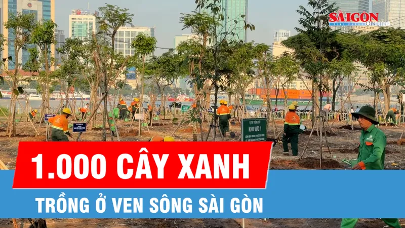 Trồng gần 1.000 cây xanh ven sông Sài Gòn