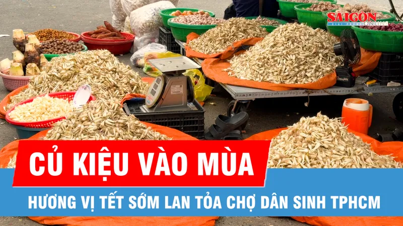 Củ kiệu vào mùa, hương vị Tết sớm lan tỏa chợ dân sinh TPHCM 
