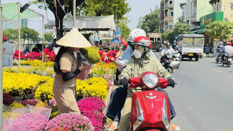 Chợ hoa tết Bến Bình Đông: Cà pháo, cải kiểng hút khách