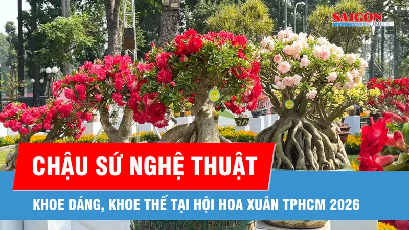 Trầm trồ trước vẻ đẹp hoa sứ tại Hội Hoa xuân TPHCM 2026