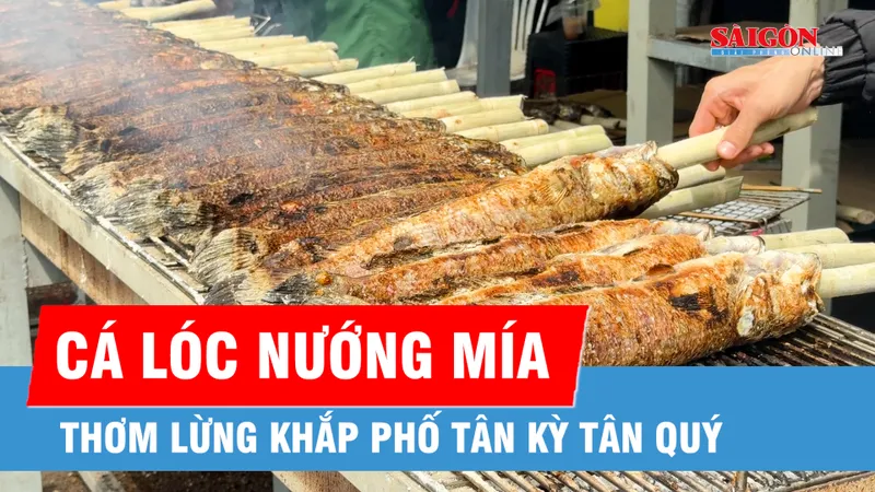 Đỏ lửa cá lóc nướng trước ngày Vía Thần Tài