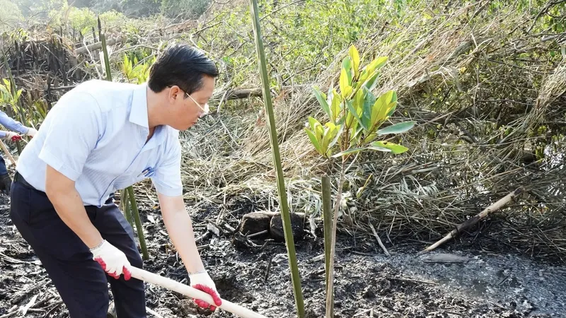 Xã Nhà Bè ra quân trồng 1.000 cây đước dọc các tuyến rạch