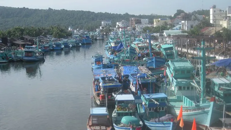 Nhiều tàu thuyền ở Kiên Giang được kêu gọi vào nơi trú bão an toàn. Ảnh: Nguyễn Thanh