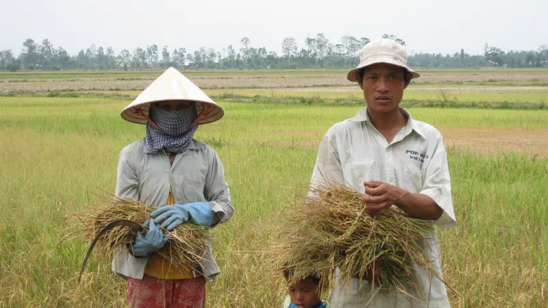Nhiều diện tích đất lúa kém hiệu quả, bị ảnh hưởng bởi hạn mặn, thiếu nước... sẽ tiếp tục được chuyển đổi sang các loại cây khác cho hiệu quả cao hơn 