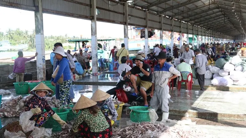 Cảng cá Tắc Cậu