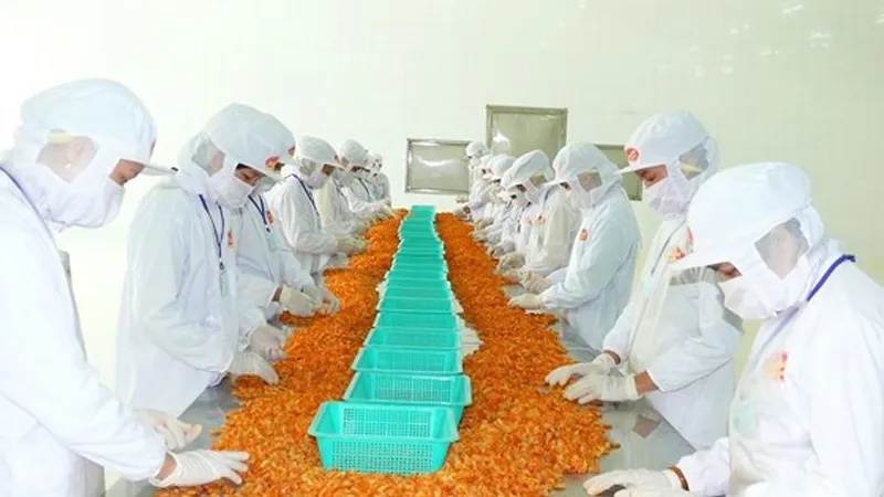 ĐBSCL là vùng sản xuất và xuất khẩu nông thủy sản chủ lực nhưng việc liên kết còn hạn chế 