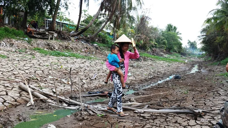 Hơn 58.000ha lúa ở ĐBSCL bị thiệt hại do hạn mặn