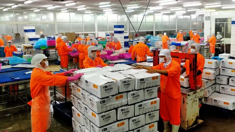 An Giang xuất khẩu lô cá tra công nghệ cao vào thị trường khó tính