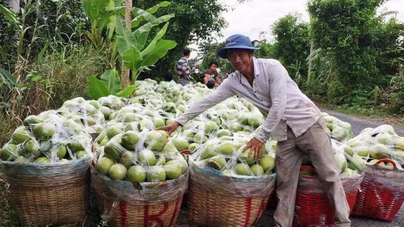 Tìm đầu ra cho nông sản ĐBSCL