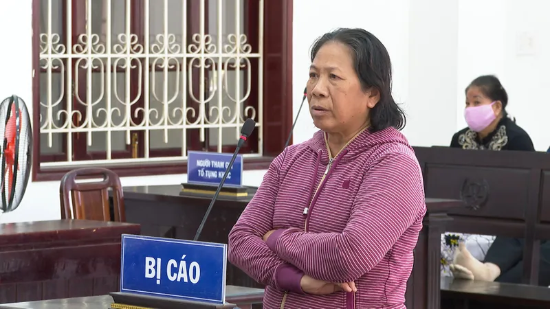Lãnh án 13 năm tù về tội lừa đảo hơn 11 tỷ đồng