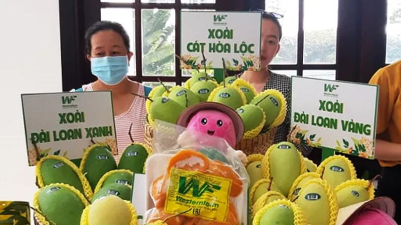 Xuất khẩu xoài đạt trên 180 triệu USD 