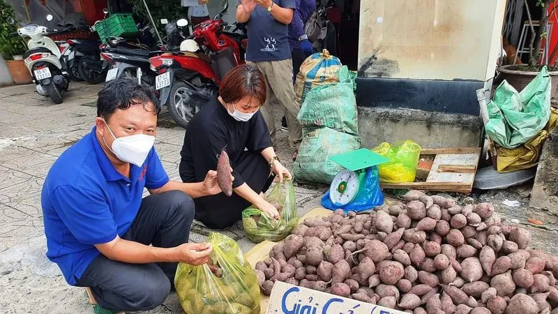 Đẩy mạnh tiêu thụ khoai lang cho nông dân với giá 3.000 - 5.000 đồng/kg