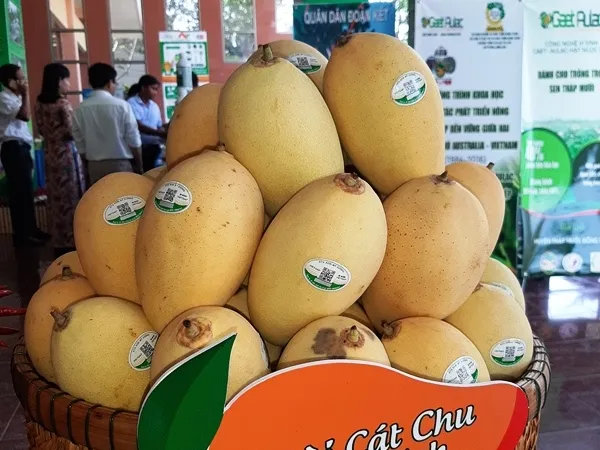 Huyện Cao Lãnh huy động 17.000 tỷ đồng xây dựng nông thôn mới