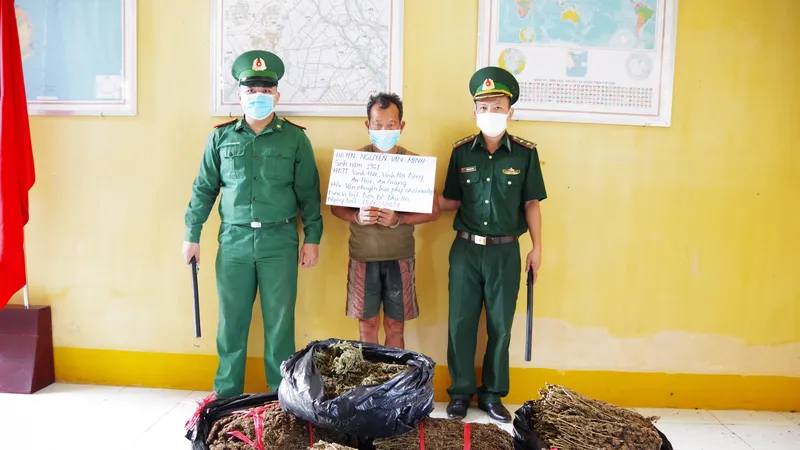 An Giang liên tiếp phát hiện 2 vụ vận chuyển 40kg nghi cần sa 
