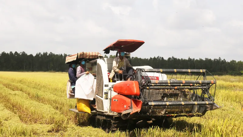 Thúc đẩy liên kết phát triển bền vững vùng ĐBSCL