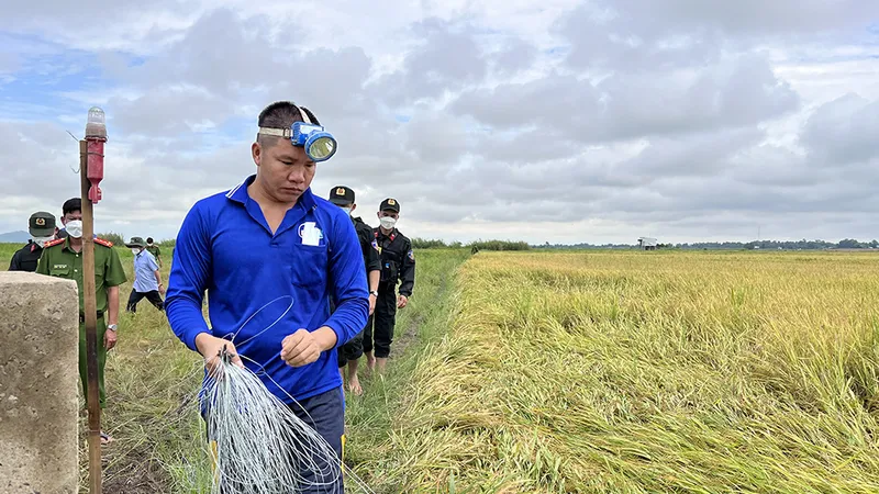 An Giang: Dùng điện bẫy chuột gây chết người