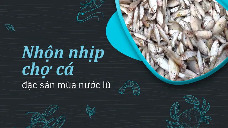 Nhộn nhịp chợ cá đặc sản mùa nước lũ