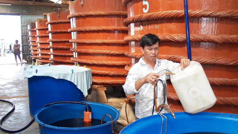 Nghề làm nước mắm Phú Quốc trở thành di sản văn hóa phi vật thể quốc gia