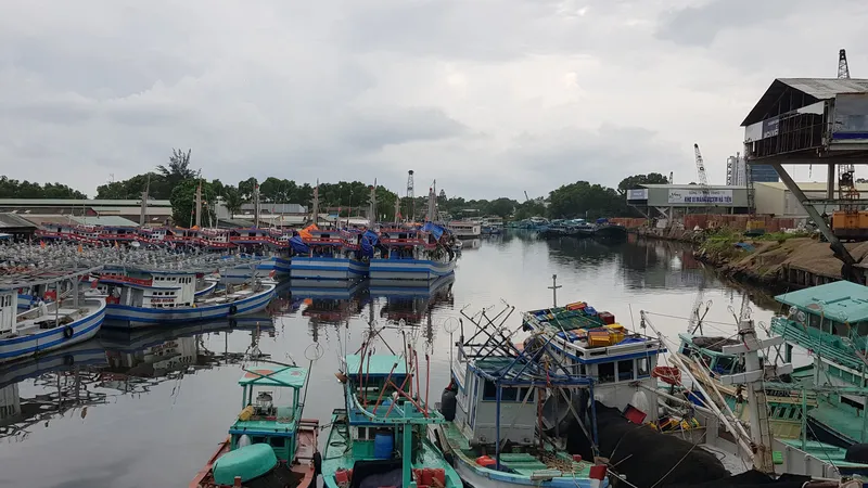 Kiên Giang: Khoảng 50% hội viên nghề cá bên bờ vực phá sản