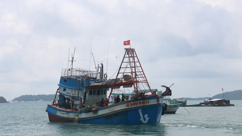 Kiên Giang: Phạt 5 chủ tàu cá tháo thiết bị giám sát hành trình hơn 6 tỷ đồng