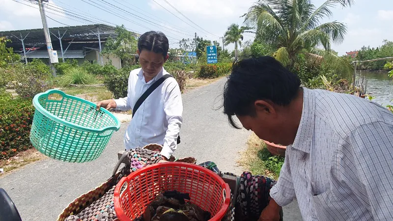 Kiên Giang: Giá cua nghịch mùa cao kỷ lục