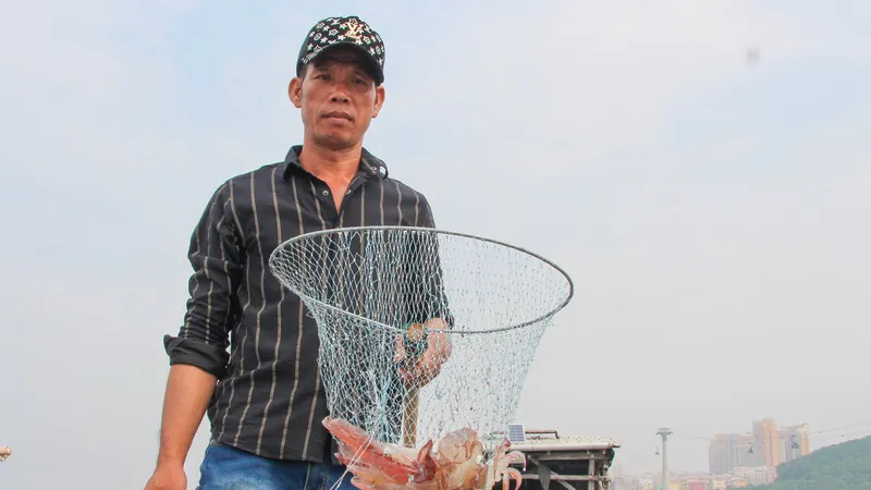 Người đầu tiên nuôi mực ống trong lồng bè ở Phú Quốc