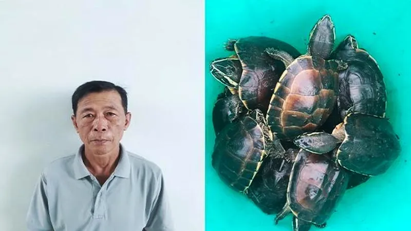 Bắt người đàn ông vận chuyển 41 cá thể rùa quý hiếm ở rừng U Minh Thượng