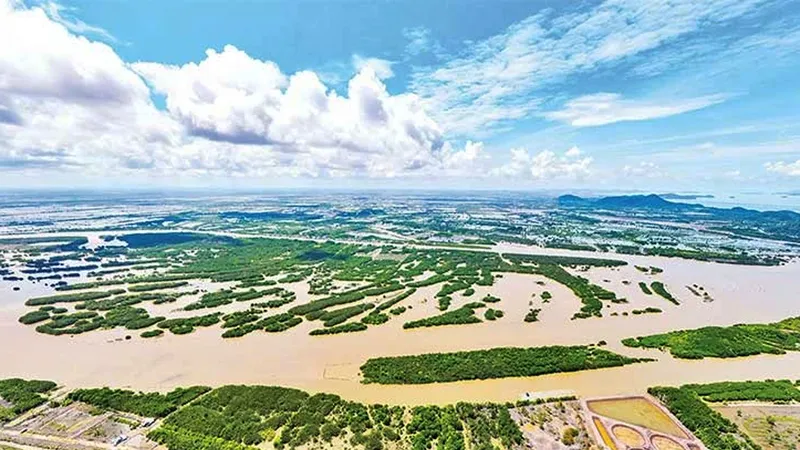 Xử lý nghiêm tình trạng lấn chiếm đầm Đông Hồ ở Kiên Giang