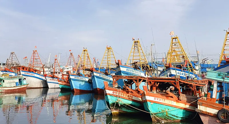 TPHCM tăng cường các giải pháp chống khai thác hải sản bất hợp pháp