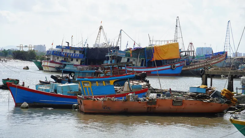 TPHCM ban hành phương án đảm bảo an toàn trên biển, trên sông và tìm kiếm cứu nạn