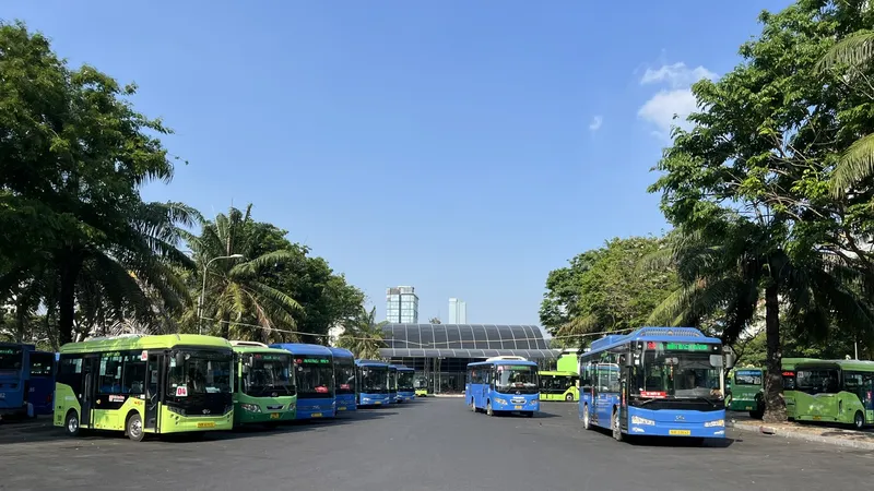 Sẽ miễn vé cho 135 tuyến xe buýt hoạt động tại TPHCM