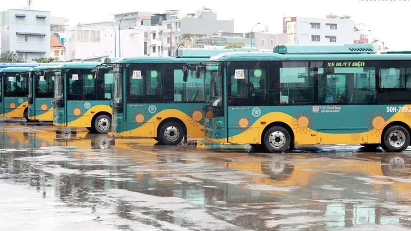 Đề xuất ban hành định mức để đấu thầu xe buýt điện nhỏ và trung bình ở TPHCM