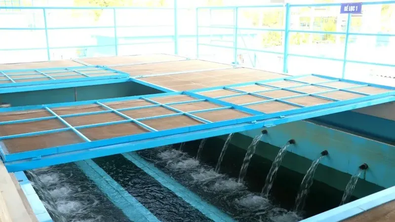 TPHCM: 100% hộ dân nông thôn sử dụng nước hợp vệ sinh