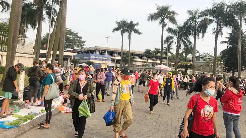 Nhiều doanh nghiệp tại TPHCM nợ BHXH bắt buộc