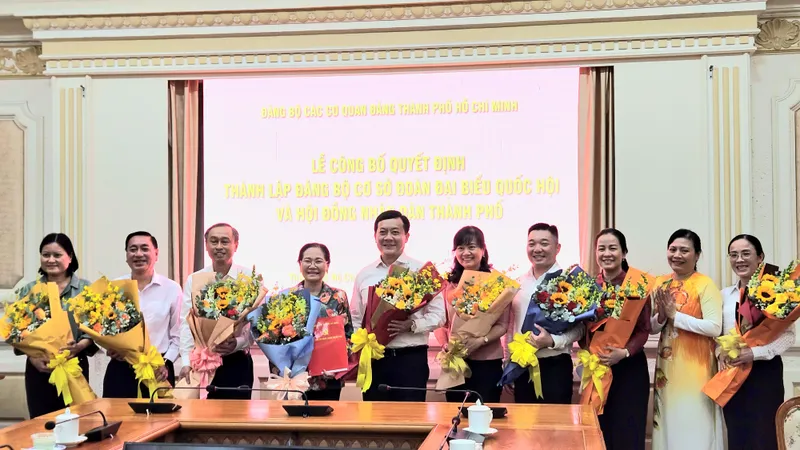Công bố quyết định thành lập Đảng bộ cơ sở Đoàn ĐBQH - HĐND TPHCM