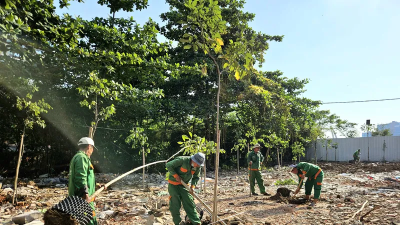 Công nhân trồng cây xanh trên khu đất người dân mới bàn giao mặt bằng tại Khu đô thị mới Thủ Thiêm