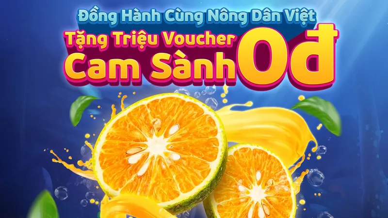 MoMo cùng Co.opFood ủng hộ 100 tấn cam