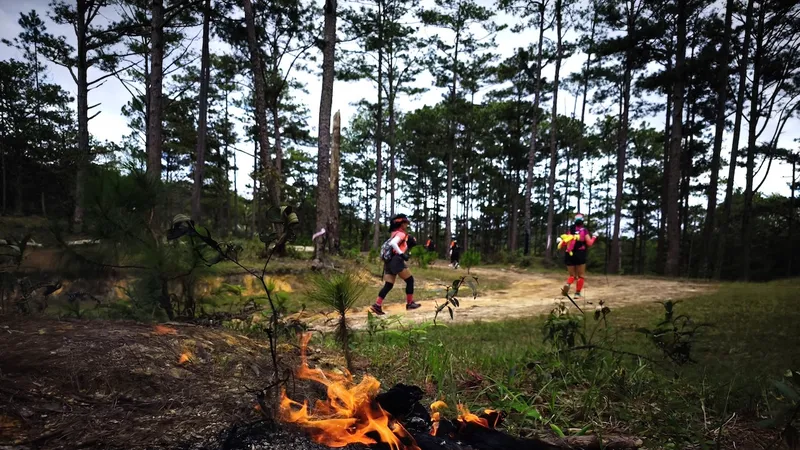 Một nhóm vận động viên đang chạy qua đường mòn tại LAAN Ultra Trail .