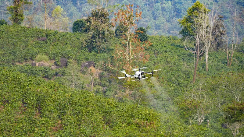 UAV do FPT và Trường Thịnh Drone bay thử nghiệm phun thuốc cây cà phê khu vực hồ Ảng Cang, bản Mánh Đanh, xã Mường Ảng, tỉnh Điện Biên.