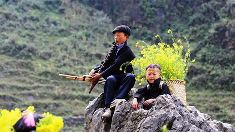 Rạng rỡ sắc hoa trên cao nguyên đá Đồng Văn