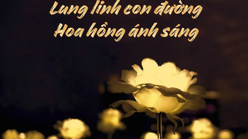 Con đường ánh sáng được kết với 500 bông hồng khổng lồ ở Hội An