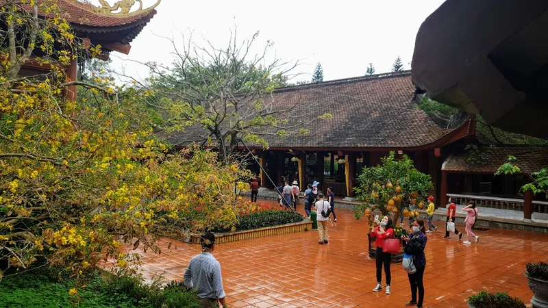 Sắc xuân trên non thiêng Yên Tử 
