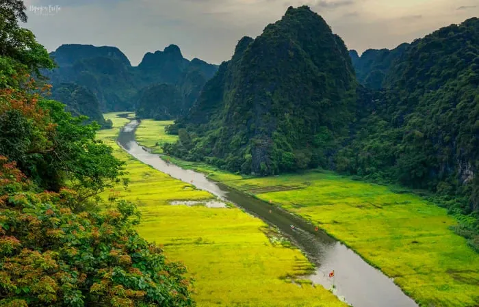Tái khởi động Năm Du lịch Quốc gia - Lễ hội Hoa Lư năm 2021