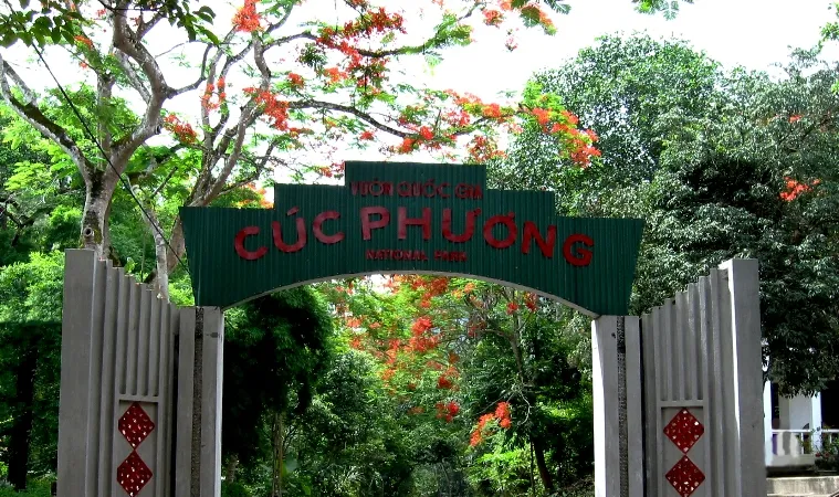 Đại ngàn Cúc Phương mở hội