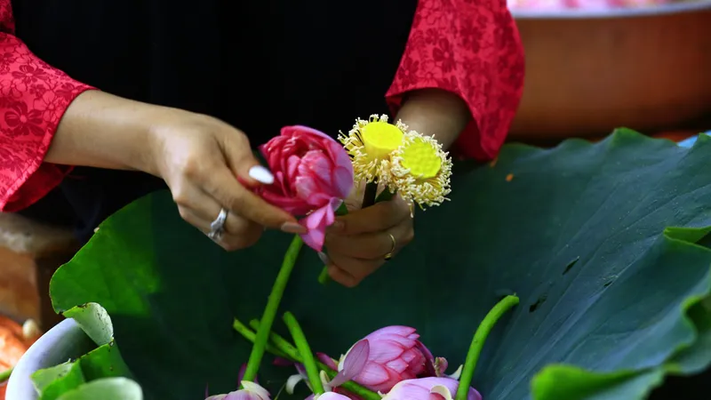 Hà Nội tổ chức lễ hội riêng dành cho sen. Ảnh: HÀ NGUYỄN